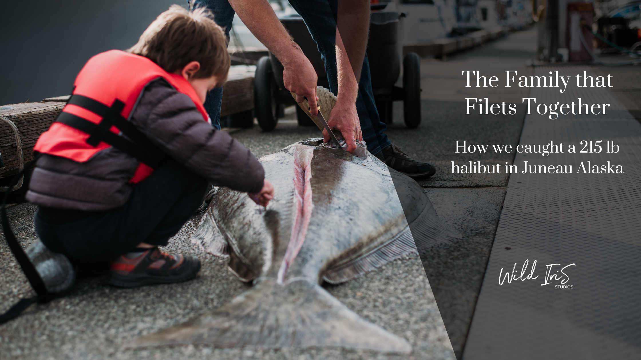 how we caught a 215 lb halibut in alaska