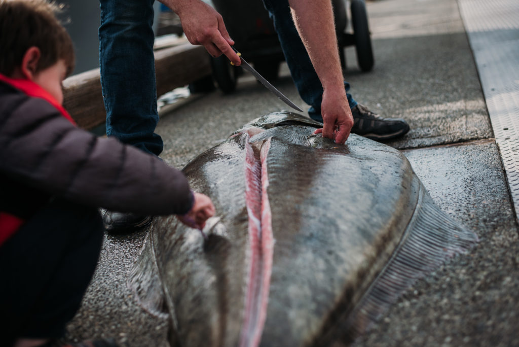 man filleting monster halibut on juneau alaska dock