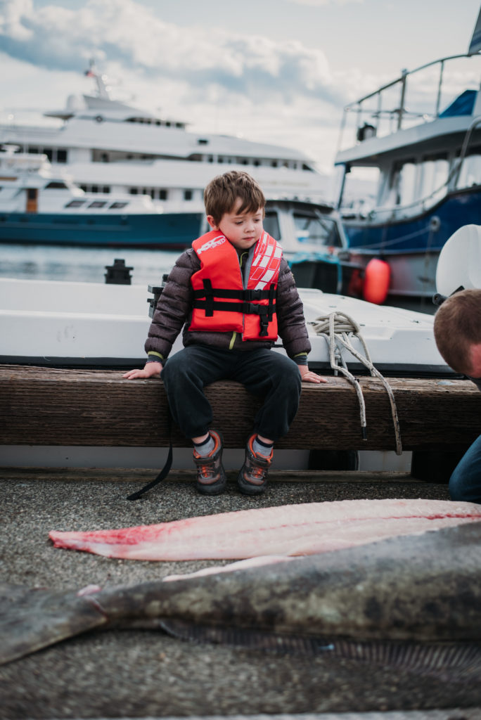 boy on dock watching father fillet giant halibut