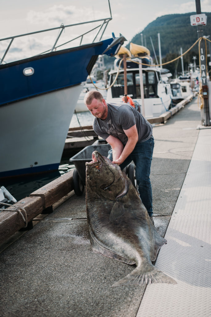 man lifting 200 pound halibut on dock in juneau alaska