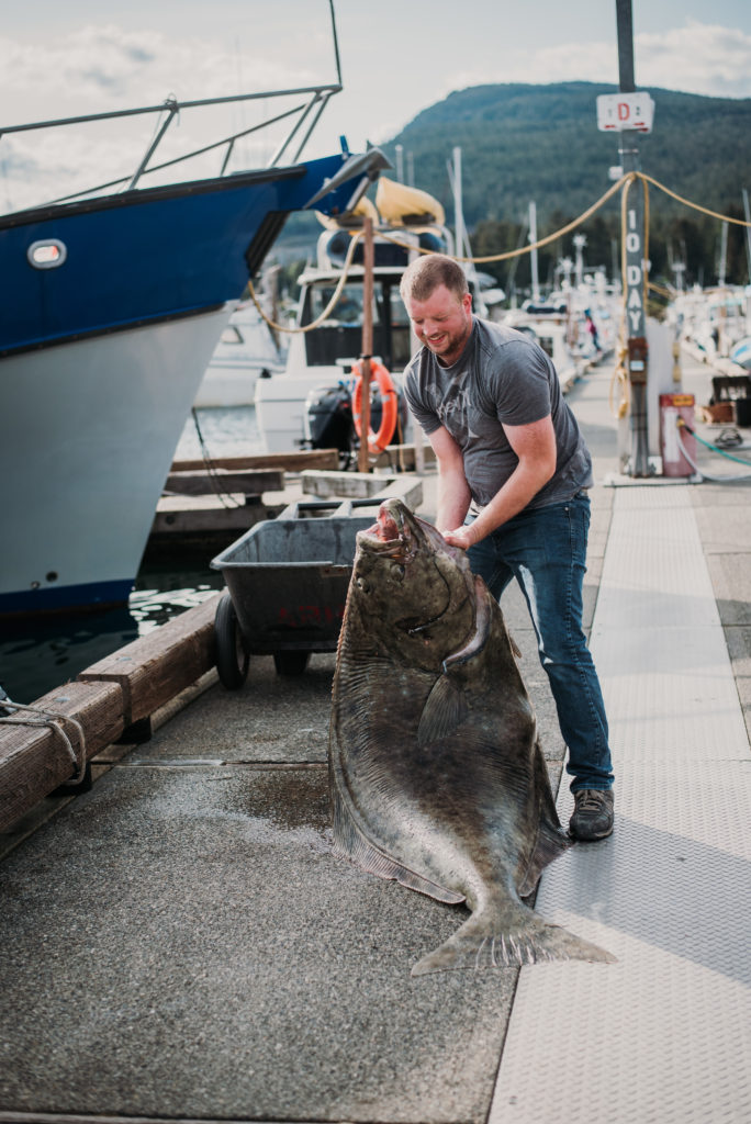 man lifting giant halibut on dock in juneau alaska