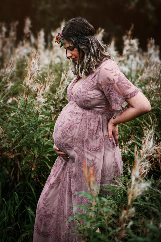 maternity session in a fireweed field as the fireweed turns white