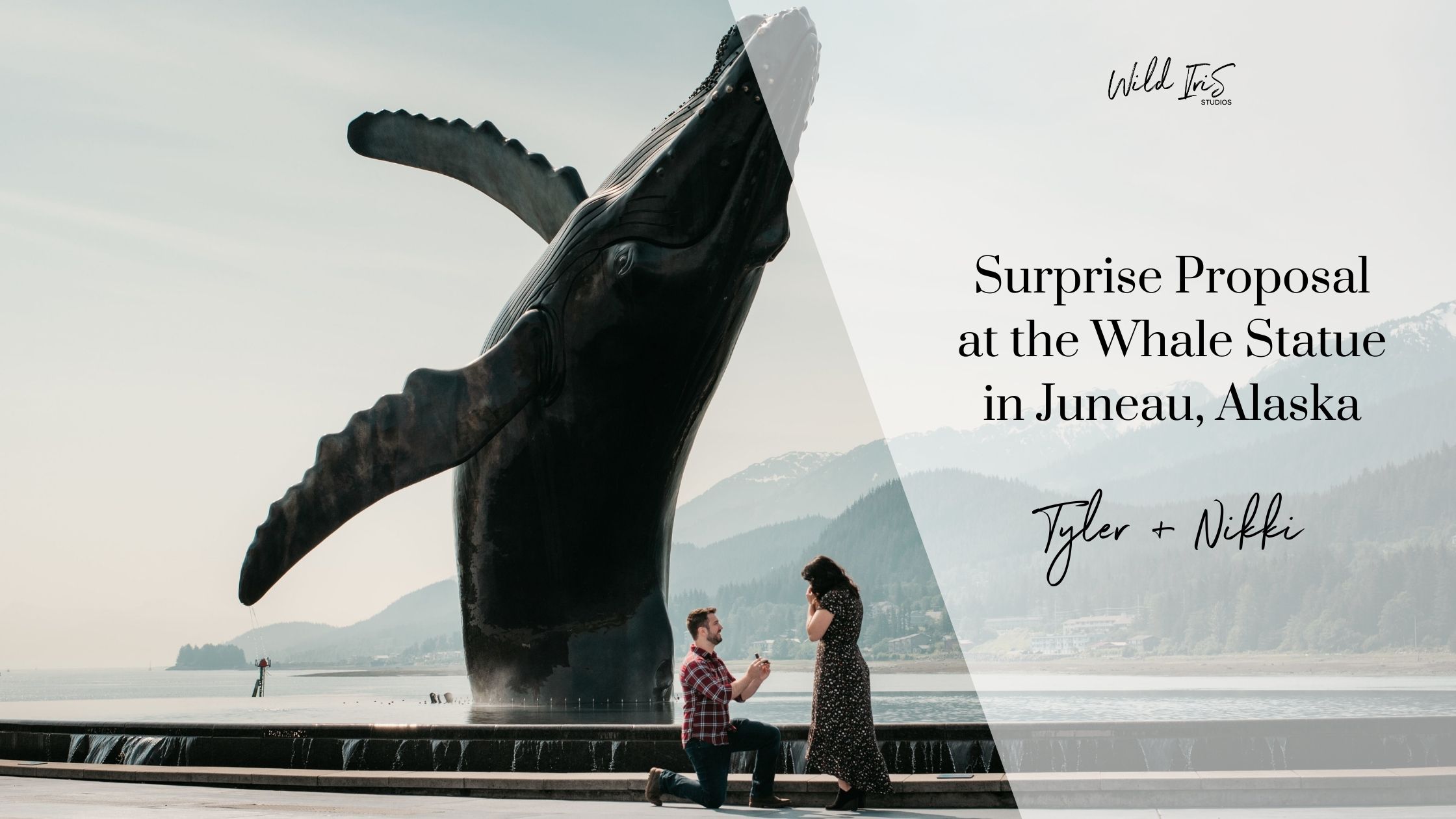 surprise proposal at the whale statue in juneau alaska blog post banner