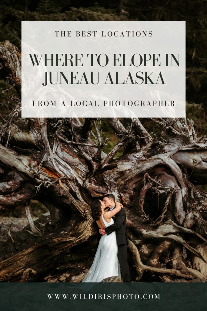 where to elope in juneau alaska pin cover
